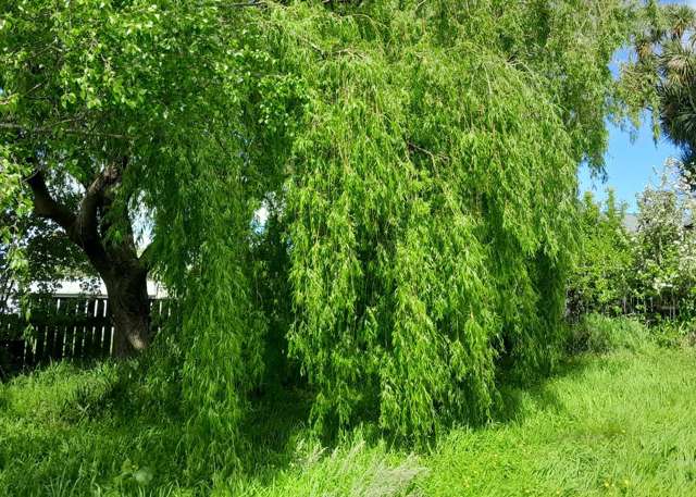 319a Makirikiri Road Marton_1