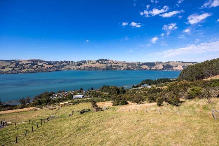 61 Kakapo Street Saint Leonards_23