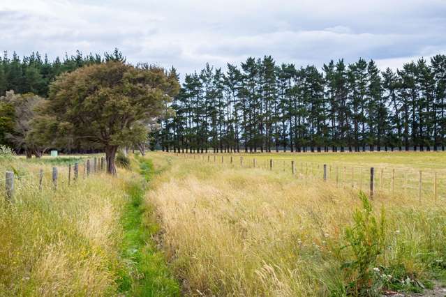 372 Wiltons Road West Taratahi_3