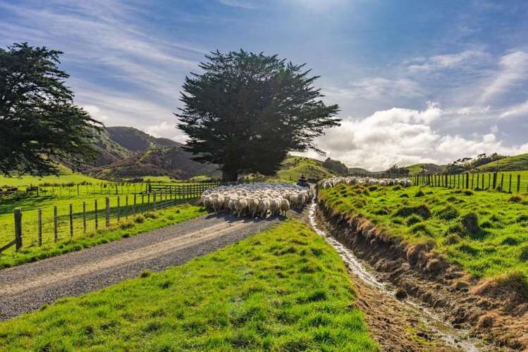 134 Bowen Road Eketahuna_14