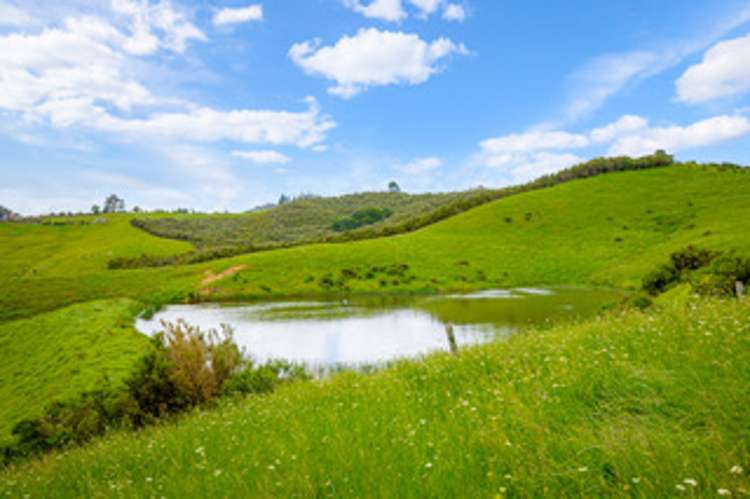 515 Kahikatea Flat Road Pine Valley_17