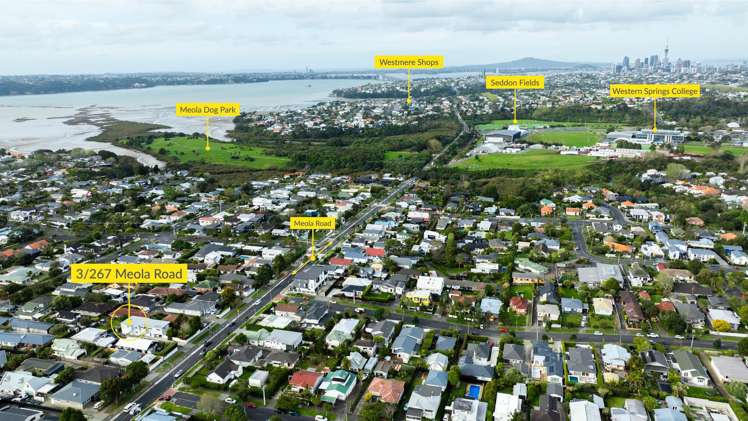 3/267 Meola Road Point Chevalier_21