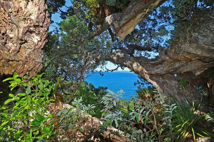 27 Boulder Bay Drive Tuateawa_7