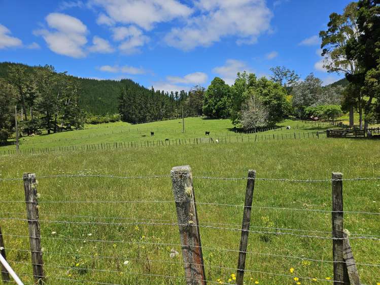 56 Ha Ha Road Pakotai_6