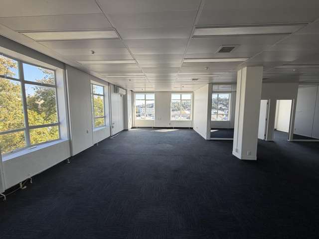 T3A/215 Hastings Street Napier South_1