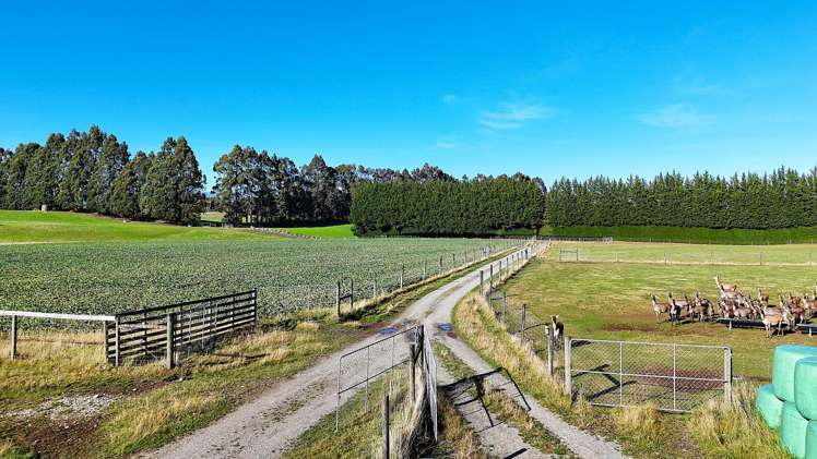 140 Tutoko Lane Te Anau_14