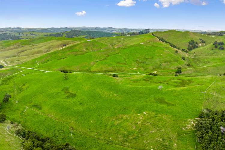 119 Page Road Ruawai_8