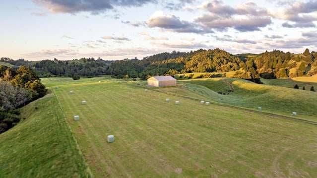 Homestead with modern flair and quality grazing