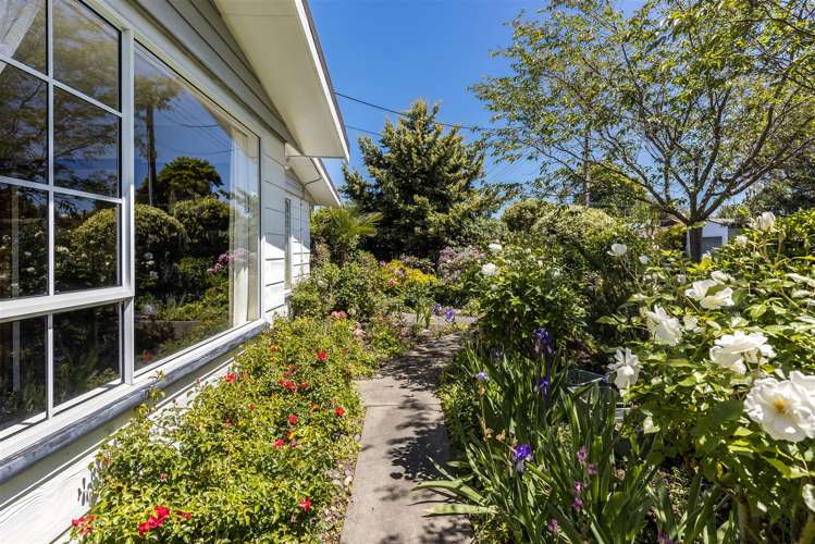 27 Ward Street Springlands_22