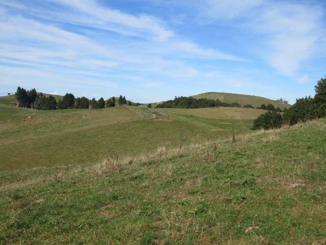 471 Sainsbury Road Pirongia_4