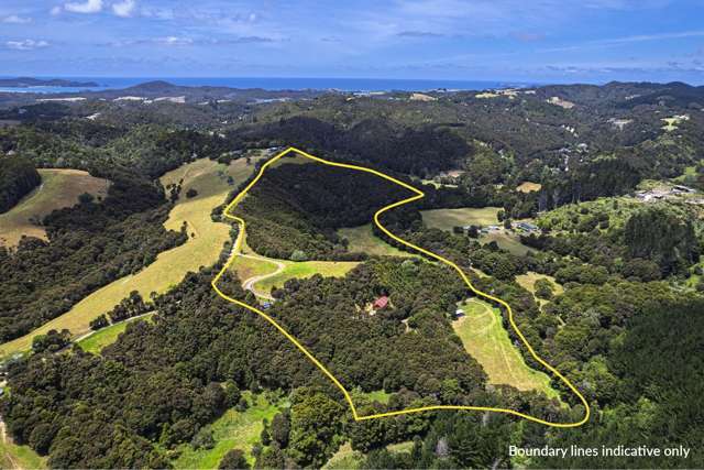 726d Ngunguru Ford Road Kiripaka_2