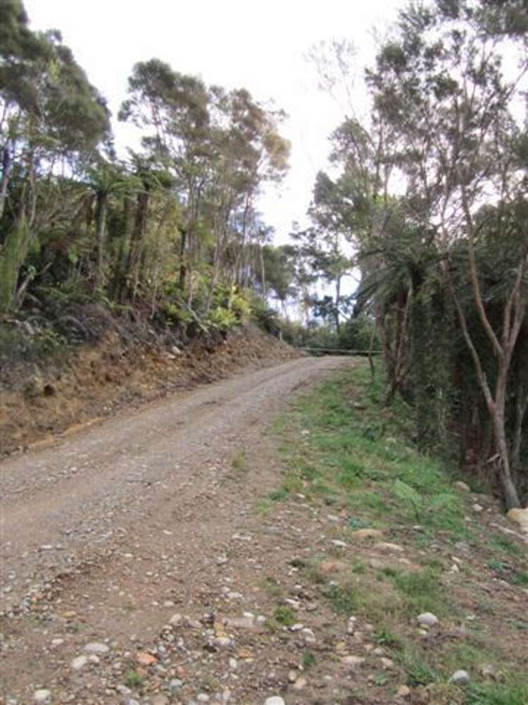 67a Punt Road Westport_7