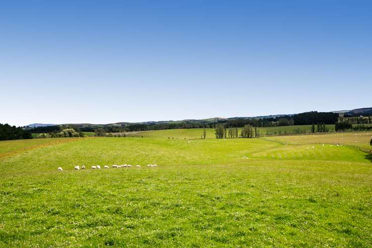 667 Paisley Road Clinton and Surrounds_15