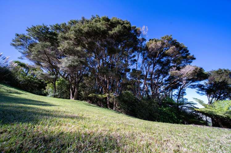 88 Pemberton Avenue Bayview_27