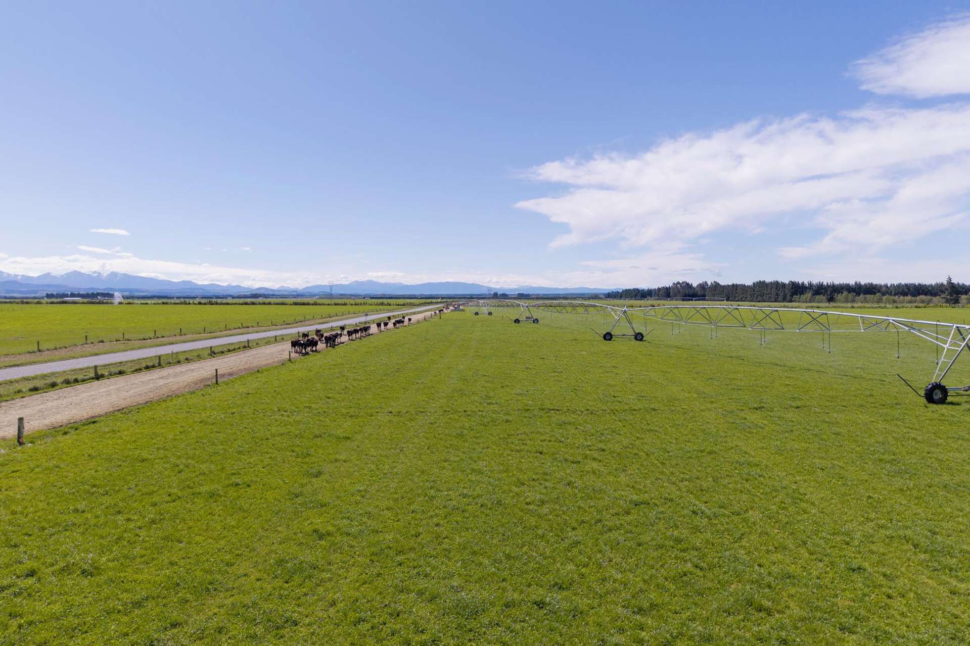 716 Mitchells Road Dunsandel_0