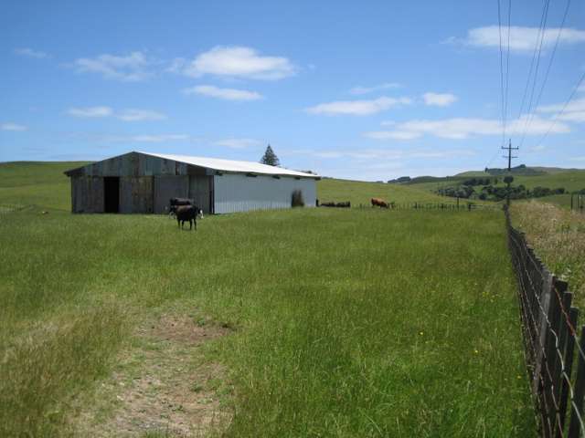 1447 Waikaretu Valley Road Waikaretu_3