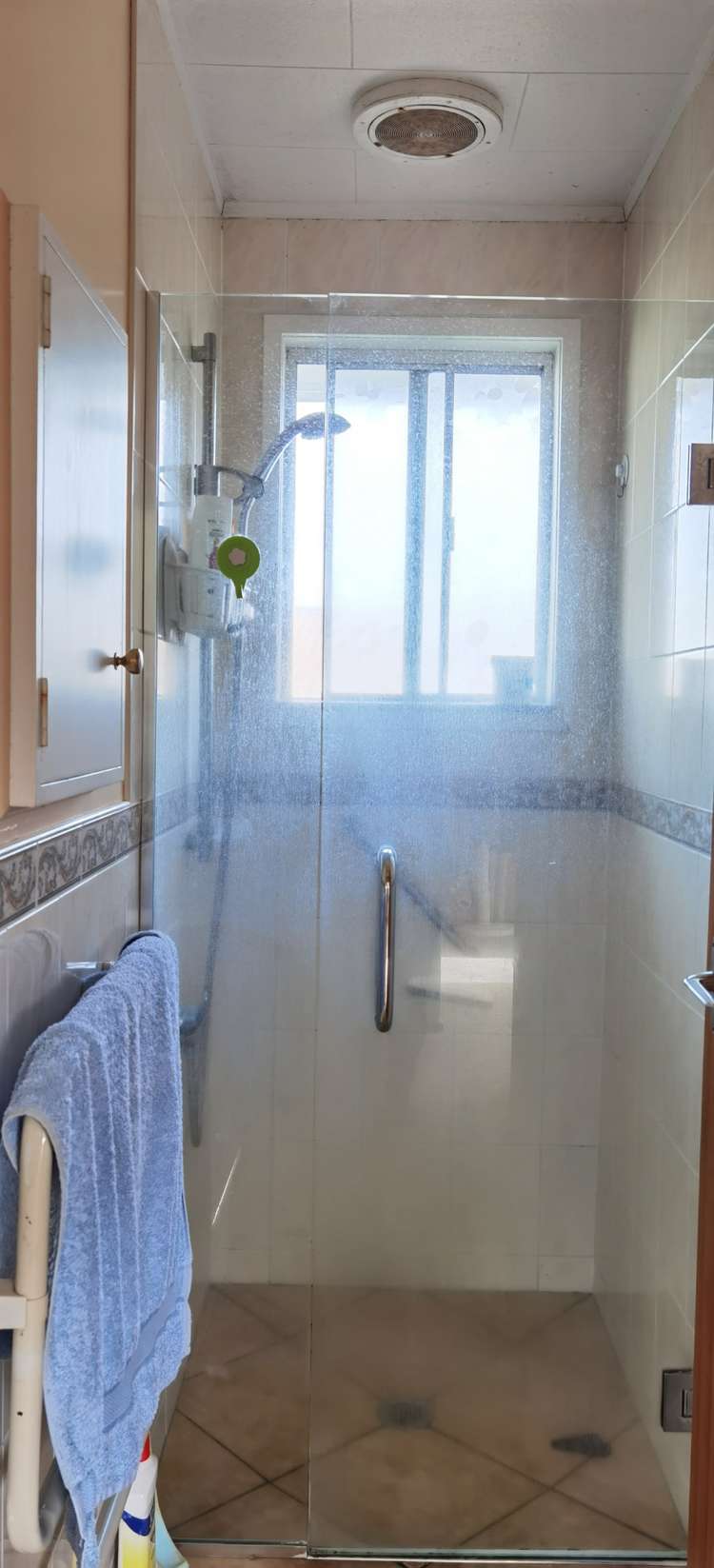 67 Ravenwood Drive Forrest Hill_25