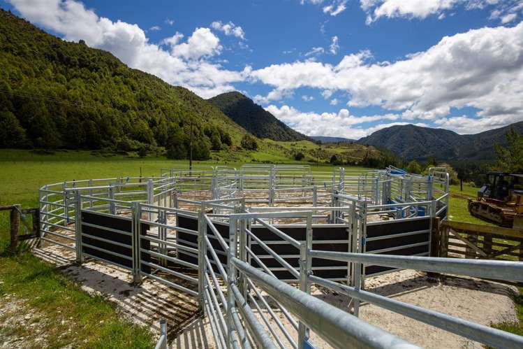 614 Gowan Valley Road Kahurangi National Park_13