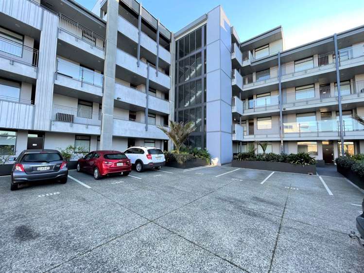 03/2g Bluegrey Avenue Stonefields_13