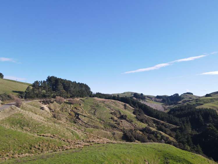 147 Mangatuna Road Dannevirke_19