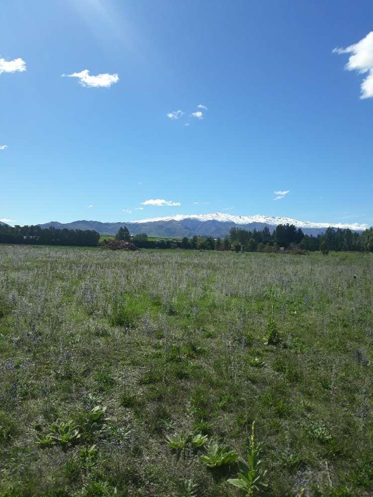 392 Letts Gully Road Alexandra_6