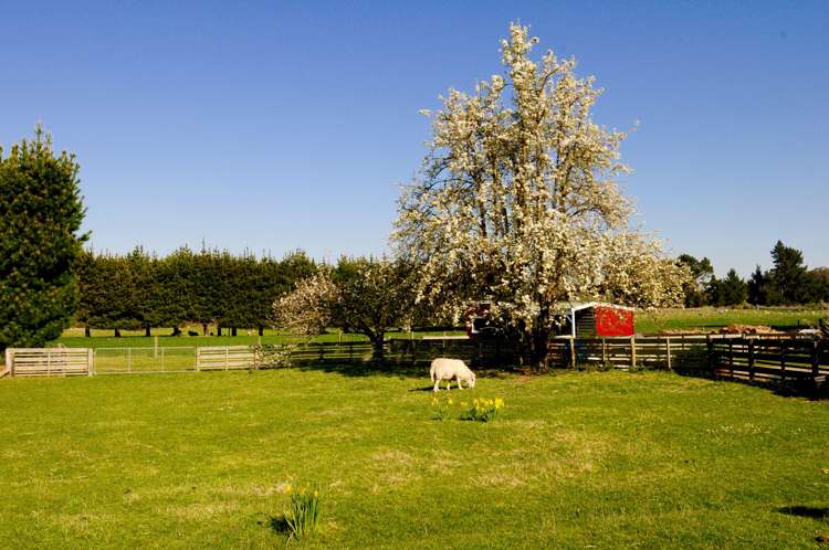 64 Waihao Back Road Waimate_15