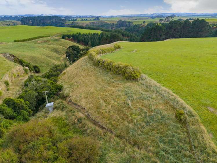 116 Karahaki Road Waverley_10