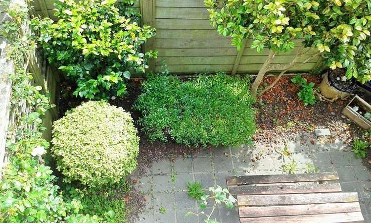 11/10 Colombo Street Newtown_16