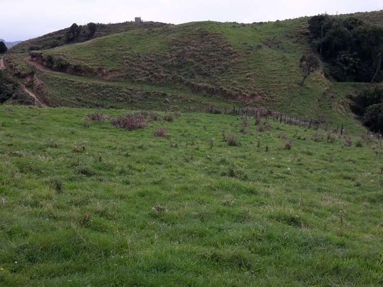 446 Stanley Road Te Popo_23