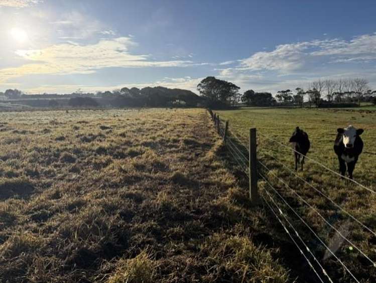 90 Station Road Dargaville_9