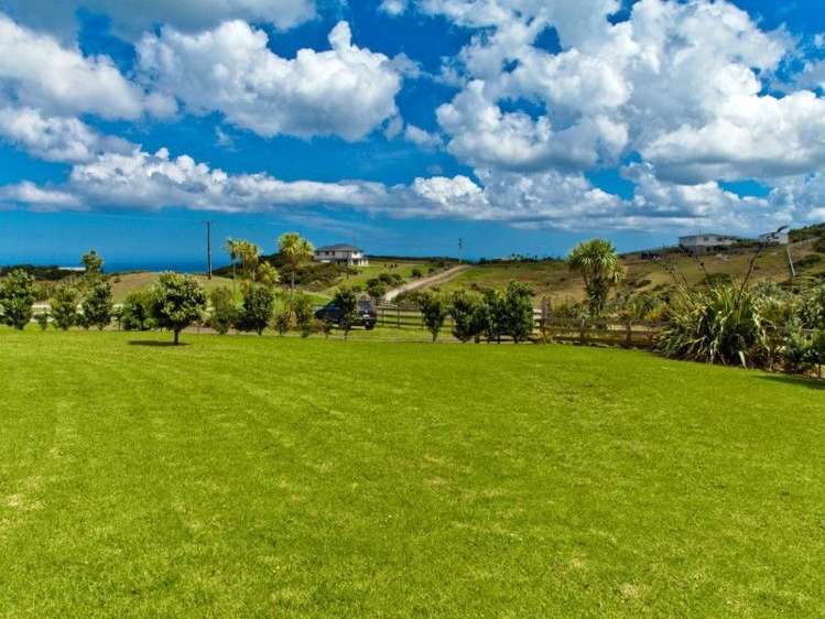 113a Constable Road Muriwai_16