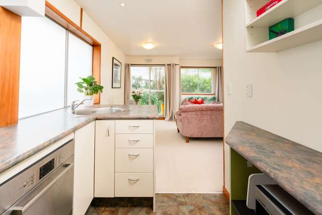 1D/19 Cottleville Terrace Thorndon_4