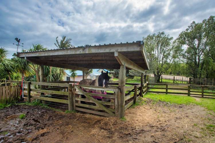 23 Twin Springs Drive Helensville_22