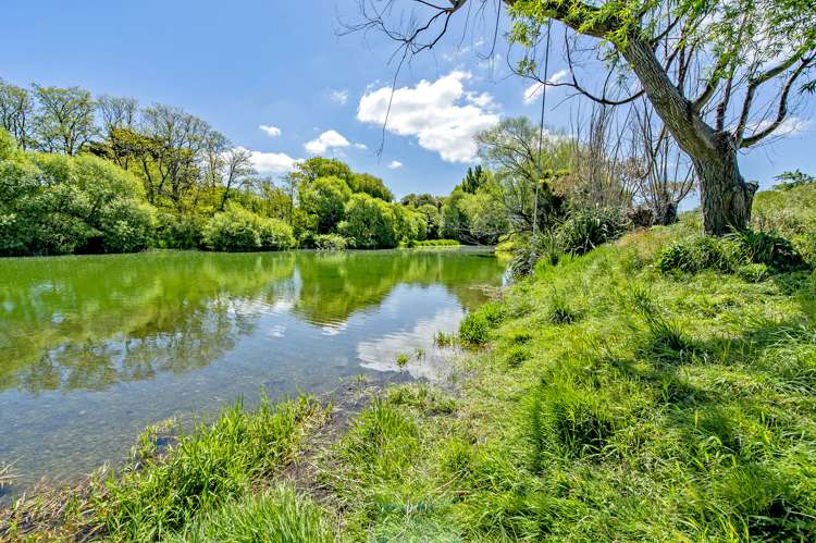 1 Spackman Avenue Springston_16