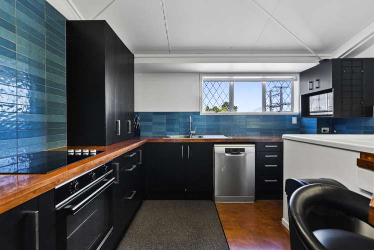 4 Lynton Street Upper Vogeltown_9