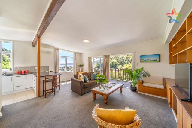 1/42 Nikau Street Eastbourne_4