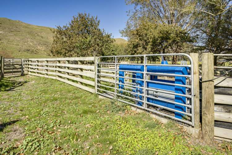 Paoanui Pourerere_12