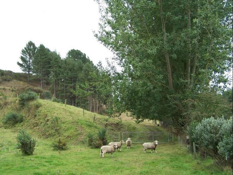 965 Georgetown-Pukeuri Road Peebles_17