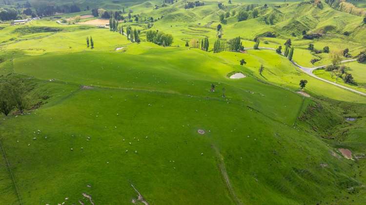 1163 Mangamako Road Ohingaiti_37