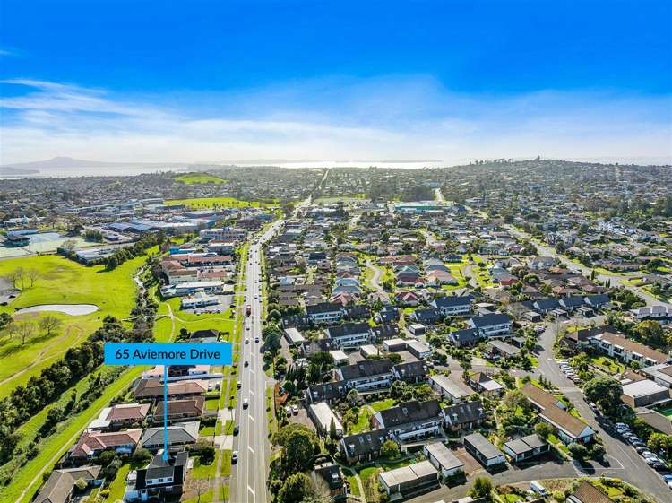 65 Aviemore Drive Highland Park_30