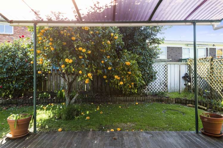 2/4 Parker Avenue New Lynn_10