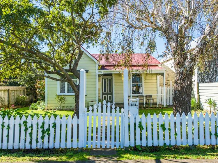 124a Harrison Street Wanganui Central_0