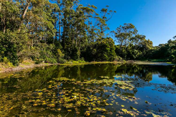 117 Mahana Road Waimauku_19