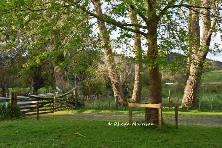 726 Paparoa Station Road Maungaturoto_87