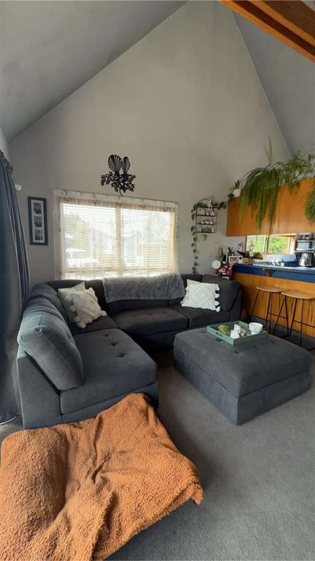 B/2 Soper Lane Springlands_2