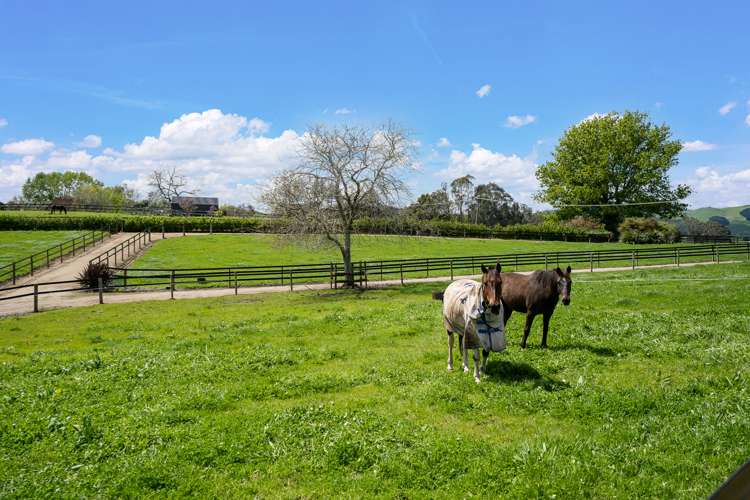 1132b Victoria Road Tauwhare_21