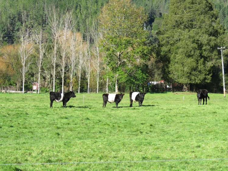 915 State Highway 67 Fairdown_19