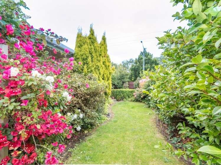 30 Napier Road Terrace End_9