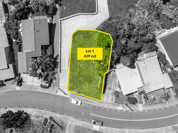 61 Ngapuhi Road Remuera_2