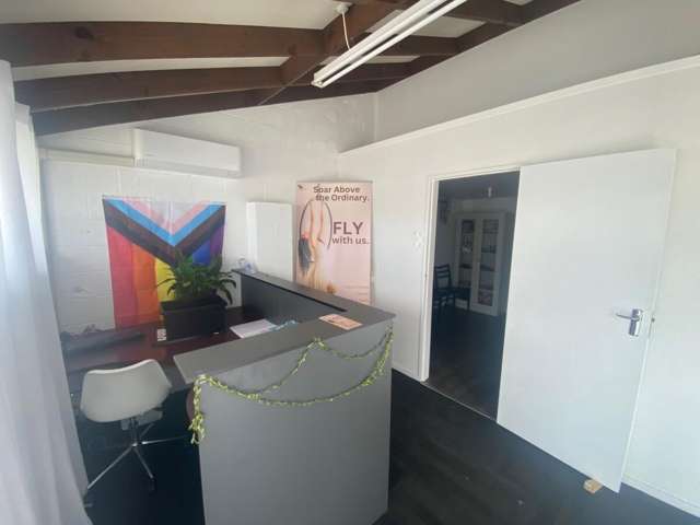 25 Carlyle Street Napier South_1